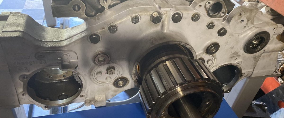 20211202_140923621_iOS_00 (1)